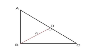 Як Знайти Висоту Прямокутному Трикутнику Властивості прямокутного трикутника  2022